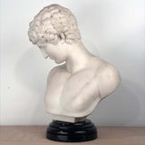 Italian Marble Bust of  Narcissus, after the Antique
