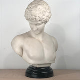 Italian Marble Bust of  Narcissus, after the Antique