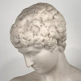 Italian Marble Bust of  Narcissus, after the Antique
