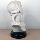 Italian Marble Bust of a Smiling Young Woman, Signed Tiruk