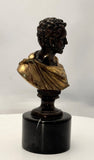 Italian Bronze Busts of Roman Emperors, Early 20th Century
