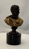 Italian Bronze Busts of Roman Emperors, Early 20th Century