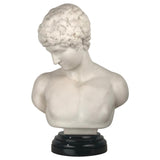 Italian Marble Bust of  Narcissus, after the Antique