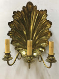 Pair of Unusual  Shell Backed Three-Arm Brass Wall Sconces