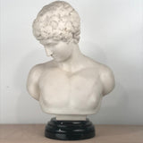 Italian Marble Bust of  Narcissus, after the Antique